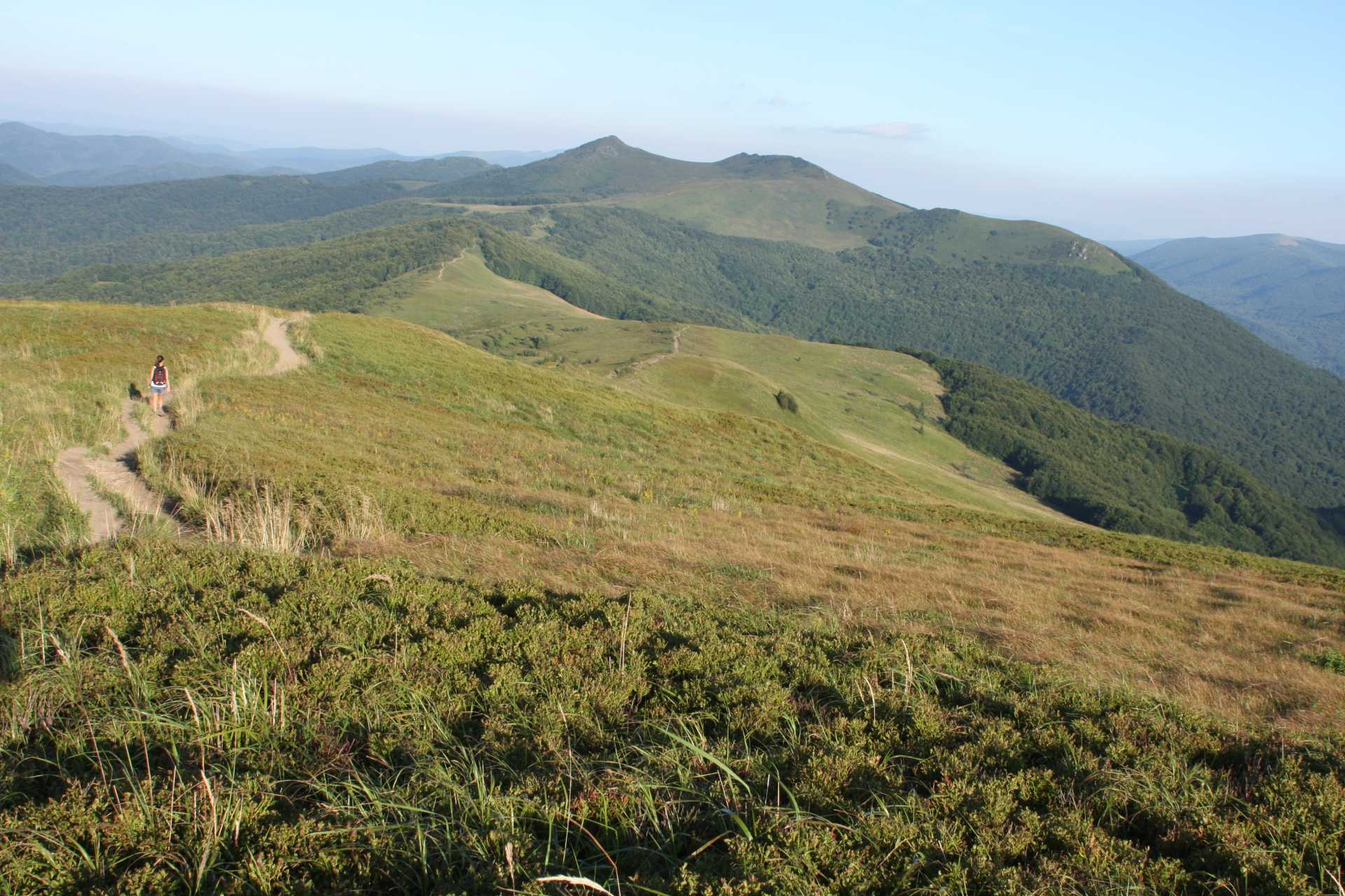 Dezintegracja pozytywna
